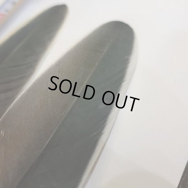 画像2: Marabou Stork ホワイトエッジクイル S(No.2) (2)