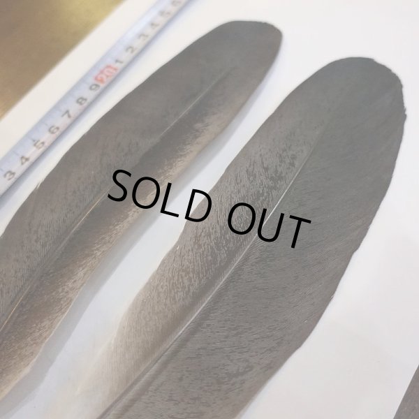 画像2: Marabou Stork ウイングクイル Sサイズ No.1 (2)