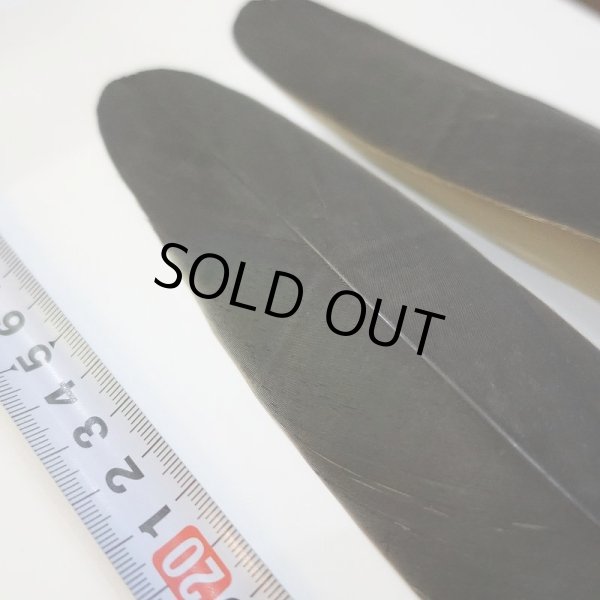 画像3: Marabou Stork ウイングクイル Sサイズ No.2 (3)