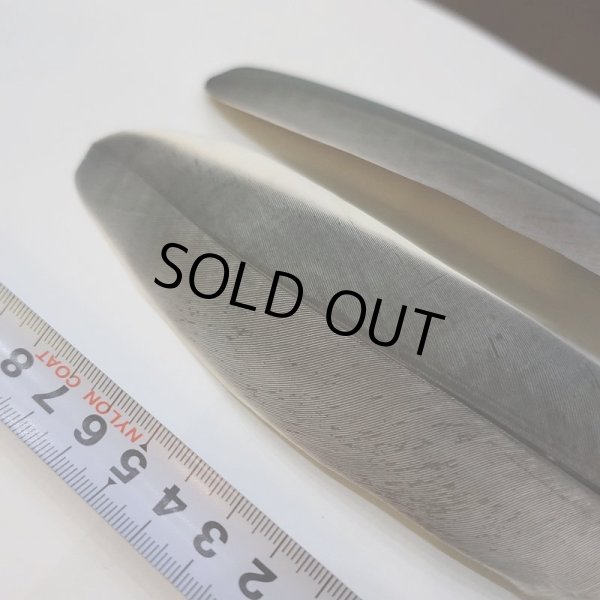 画像3: Marabou Stork ホワイトエッジクイル S(No.3) (3)