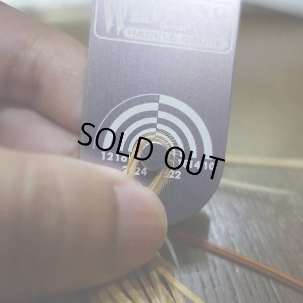 画像2: 【WHITING】 Rooster Saddle BronzeGrade Honey Dun #18 (2)