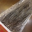 画像3: 【WHITING】 ROOSTER SADDLE BronzeGrade Grizzly #14-16 No.2 (3)