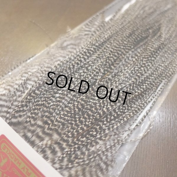 画像3: 【WHITING】 ROOSTER SADDLE BronzeGrade Grizzly #14-16 No.2 (3)