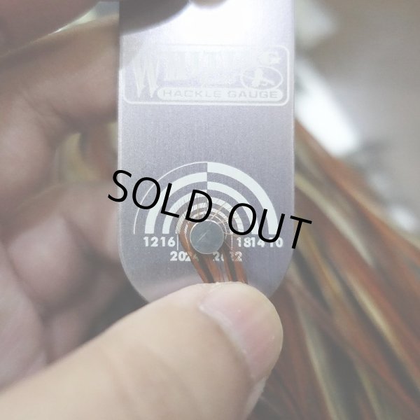 画像2:  【WHITING】 Hebert Bronze Grade Saddle Furnace #14 (2)