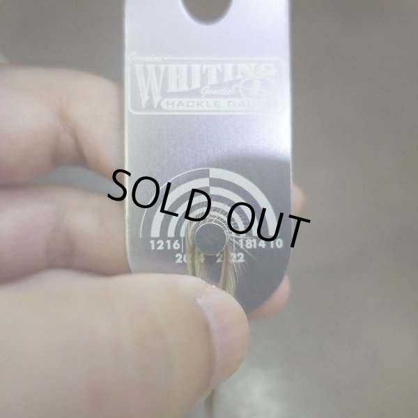 画像2: 【WHITING】 Hebert Bronze Grade Saddle Medium Brown Dun  #14 (2)