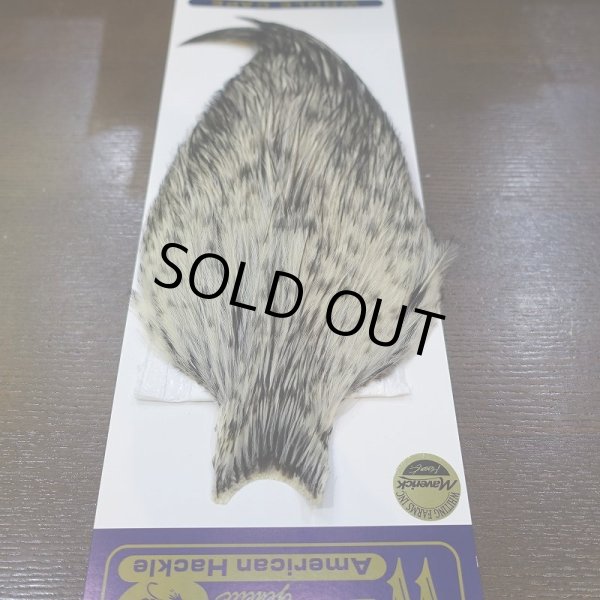 画像2: 【WHITING】American Rooster Cape BLACK LACED WHITE (2)