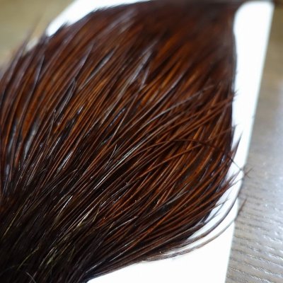 画像3: 【WHITING】 Bronze Grade Cape White Dyed Coachman Brown