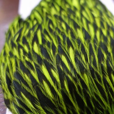 画像1: 【WHITING】American Hen Cape BLW/FL GREEN CHART