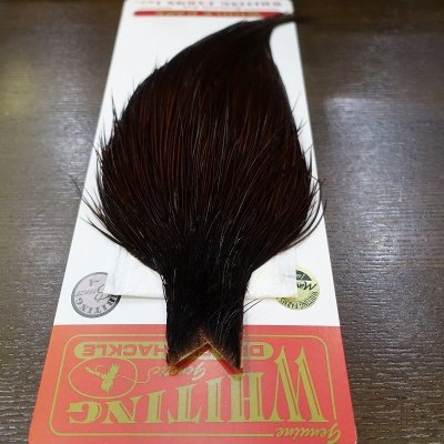 画像1: 【WHITING】 Bronze Grade Cape White Dyed Coachman Brown