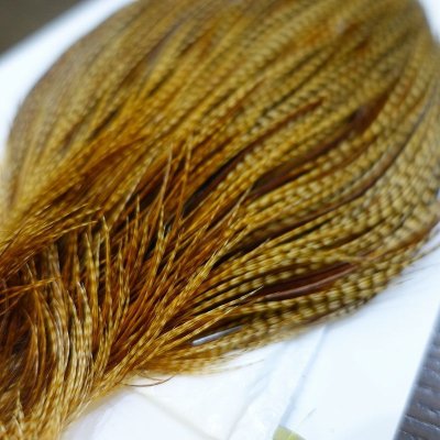 画像3: 【WHITING】 Pro Grade Cape Barred Dark Ginger NO2