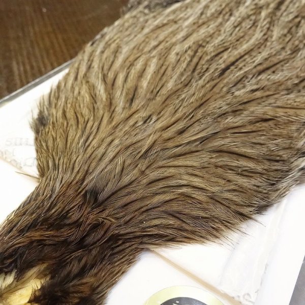 コックハックルケープ WHITING #1 ブラウン コックデレオン・ルースター・ケープ｜ParrMarkFly