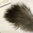 画像2: 【CANAL】 Peahen Marabou (2)