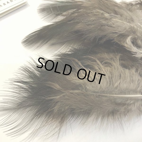 画像2: 【CANAL】 Peacock Marabou (2)