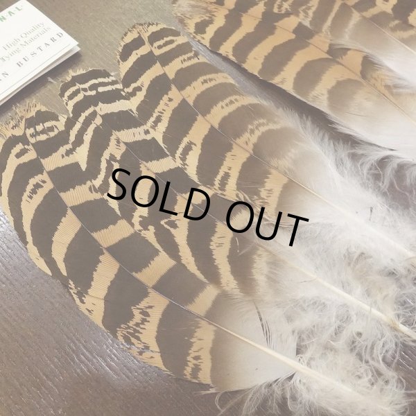 画像2: 【CANAL】 Florican Bustard 3ペア (2)