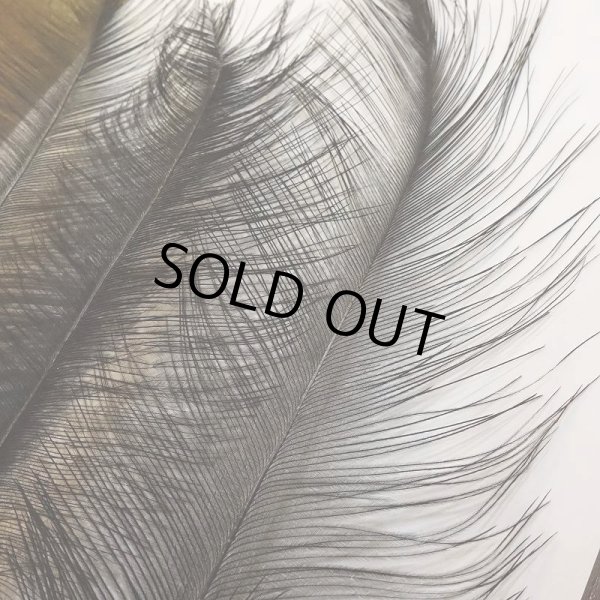 画像2: 【CANAL】Rhea Feather - Black (2)