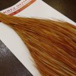 画像5: 【Whiting】Bronze Grade Cape Honey Dun (5)