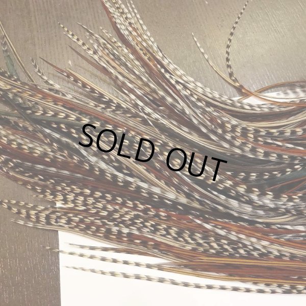 画像4: 【WHITING】 Hebert Silver Grade Saddle Grizzly Variant ＃10-12 (4)