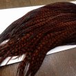 画像4: 【WHITING】High&Dry Cape Dyed Grizzly Coachman Brown (4)