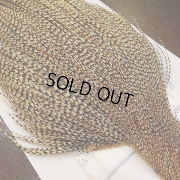 画像3: 【WHITING】Silver Grade Cape Unique Variant (3)