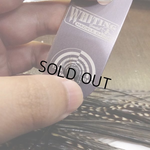 画像5: 【WHITING】 Hebert Bronze Grade Saddle Grizzly Variant ＃12 (5)