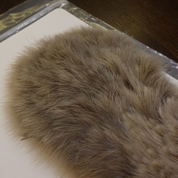 画像4: 【Whiting】BRAHMA Hen SH/ W Chickabou (4)