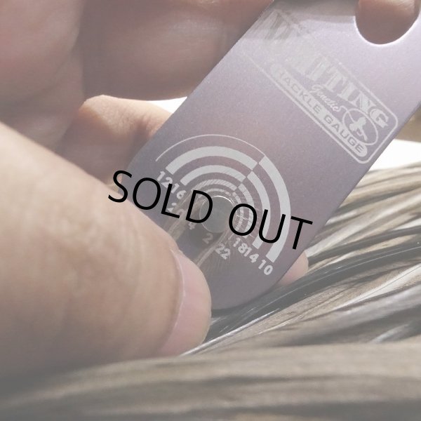 画像5: 【WHITING】Hebert Bronze Grade Saddle Medium GreyDun #14 (5)