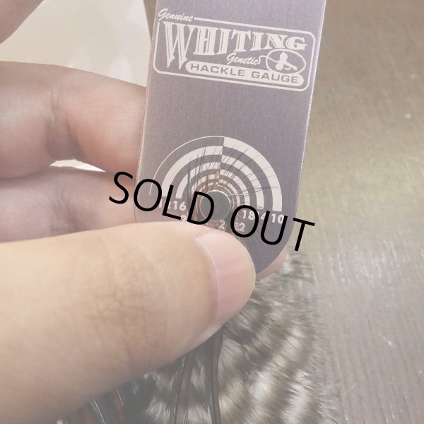 画像5: 【WHITING】 Hebert Silver Grade Saddle Grizzly Variant ＃10-12 (5)