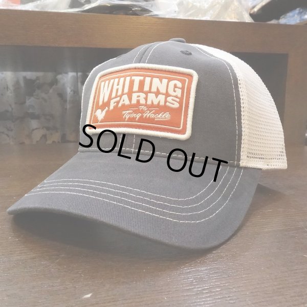 画像2: 【Whiting】BRUSHED TWILL/MESH CAP (2)