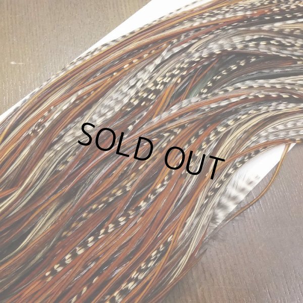 画像3: 【WHITING】 Hebert Silver Grade Saddle Grizzly Variant ＃10-12 (3)