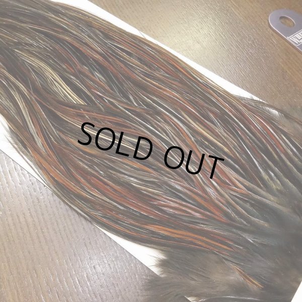 画像2: 【WHITING】Hebert Bronze Grade Saddle Furnace #12 No.2 (2)