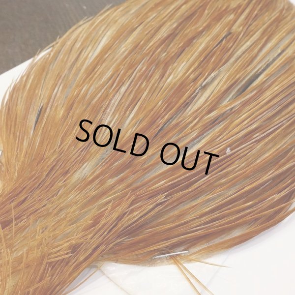 画像3: 【Whiting】Bronze Grade Cape Honey Dun (3)