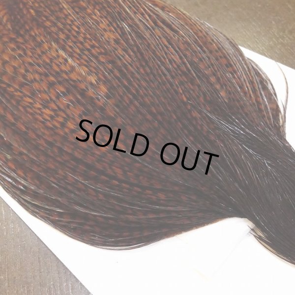 画像3: 【WHITING】High&Dry Cape Dyed Grizzly Coachman Brown (3)