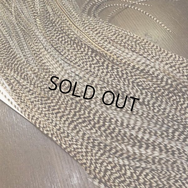 画像3: 【WHITING】 ROOSTER SADDLE SilverGrade Grizzly #14 (3)