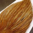 画像4: 【Whiting】Bronze Grade Cape Honey Dun (4)