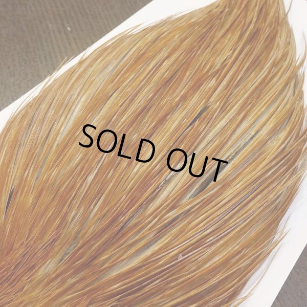 画像4: 【Whiting】Bronze Grade Cape Honey Dun (4)