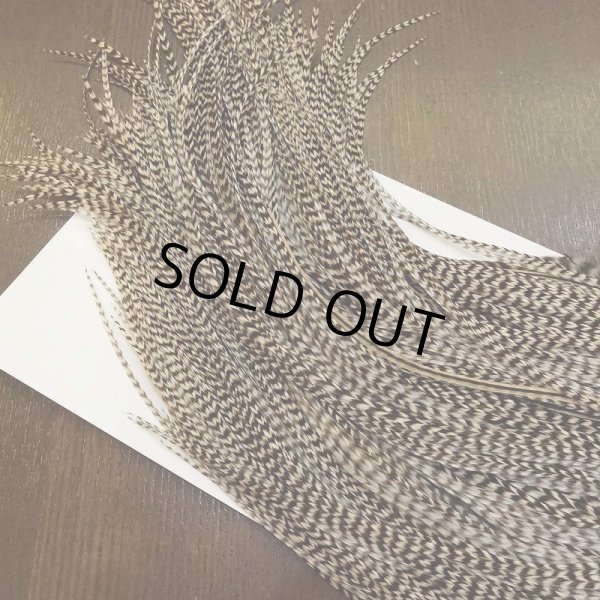 画像4: 【WHITING】 ROOSTER SADDLE SilverGrade Grizzly #14 (4)