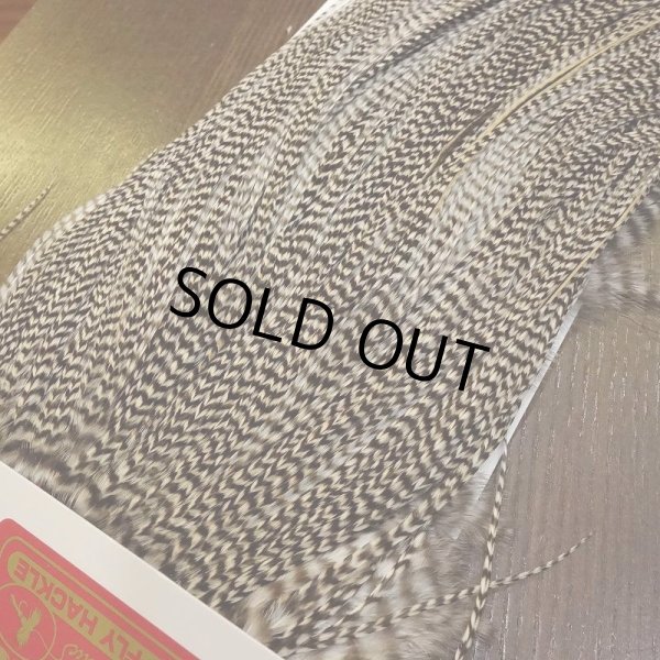 画像2: 【WHITING】 ROOSTER SADDLE SilverGrade Grizzly #14 (2)