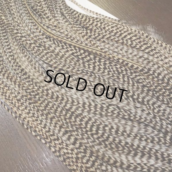 画像5: 【WHITING】 ROOSTER SADDLE SilverGrade Grizzly #14 (5)