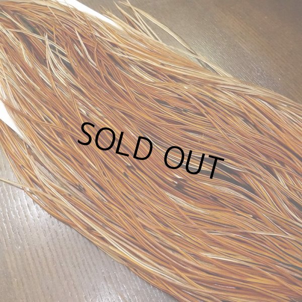 画像3: 【WHITING】 Rooster Saddle BronzeGrade Furnace #14-16 No.2 (3)