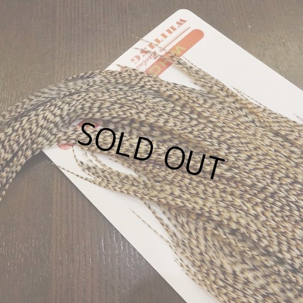 画像5: 【WHITING】Silver Grade Cape Unique Variant (5)