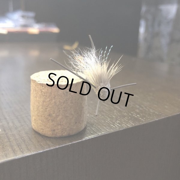 画像2: 【Rainy's】タランチュラ (2)