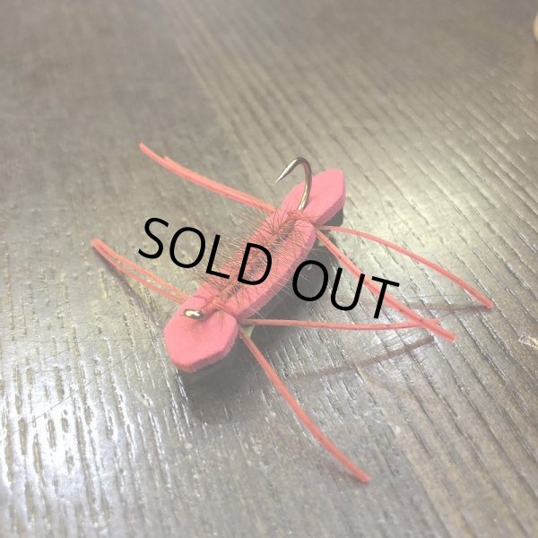 画像3: 【Rainy's】モンタナ チェルノブイリアント (3)