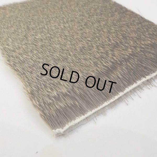 画像3: 【SWISSCDC】カプリオーロ(ディアヘア) - エスティーボ(夏毛) (3)