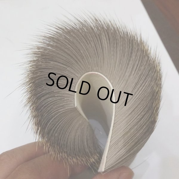 画像3: 【SWISSCDC】カプリオーロ(ディアヘア) - インベルネーレ(冬毛) (3)