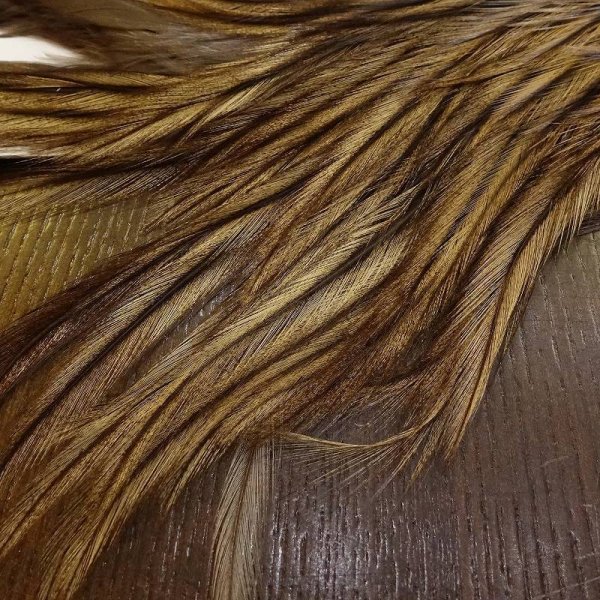 画像4: 【WHITING】Coq de Leon Saddle Silver Grade (4)