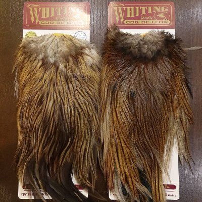 画像2: 【WHITING】Coq de Leon Saddle Silver Grade