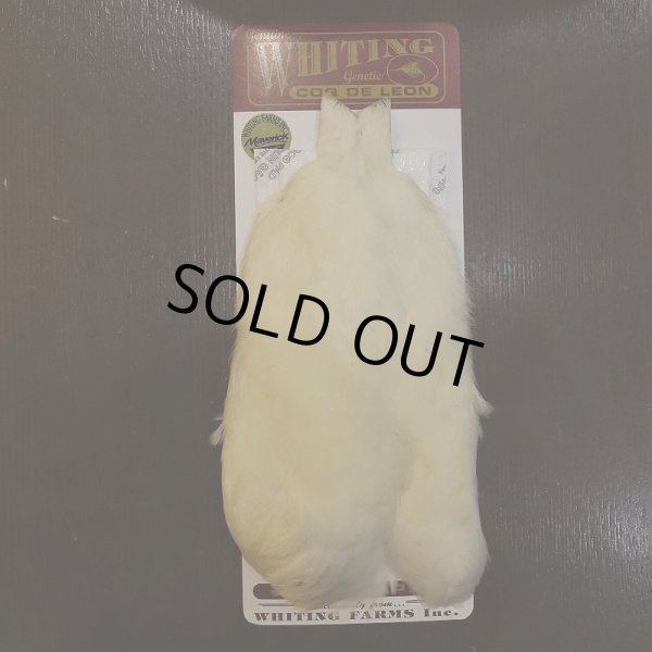 画像1: 【WHITING】Coq de Leon Hen Cape - White (1)