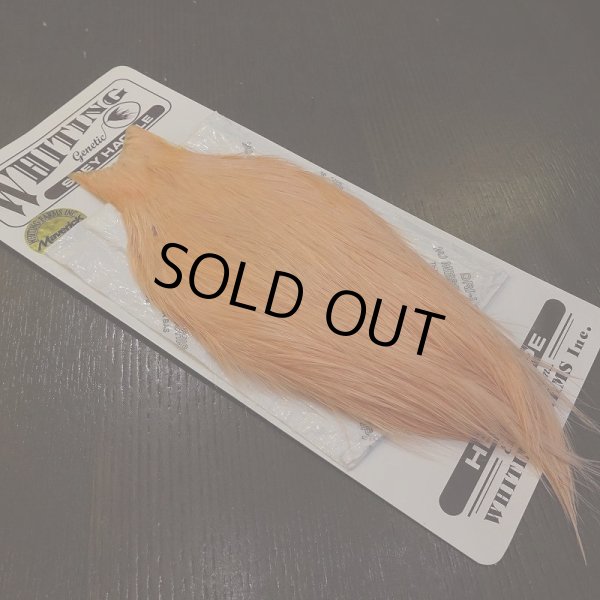 画像2: 【WHITING】Spey Hackle HenCape - WHITE/SALMON (2)