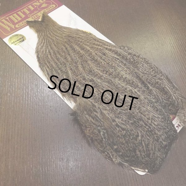 画像2: 【WHITING】Coq de Leon Hen Cape - Silver Speckled (2)