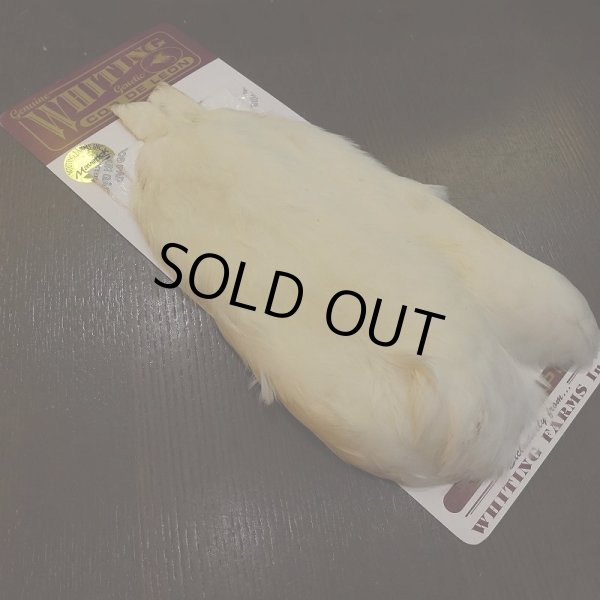 画像2: 【WHITING】Coq de Leon Hen Cape - White (2)